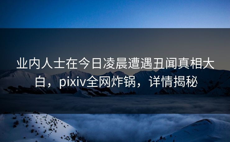 业内人士在今日凌晨遭遇丑闻真相大白，pixiv全网炸锅，详情揭秘