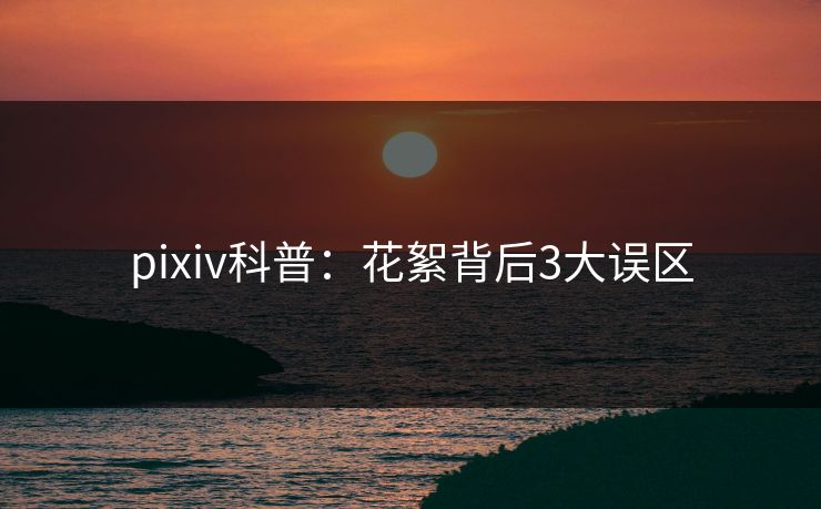 pixiv科普:花絮背后3大误区