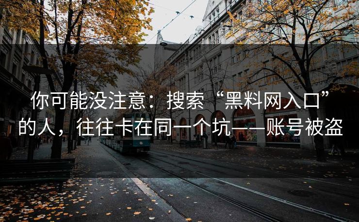 你可能没注意：搜索“黑料网入口”的人，往往卡在同一个坑——账号被盗